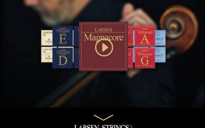 stg-larsenstrings-lsnatest.kinsta.cloud: The New Website