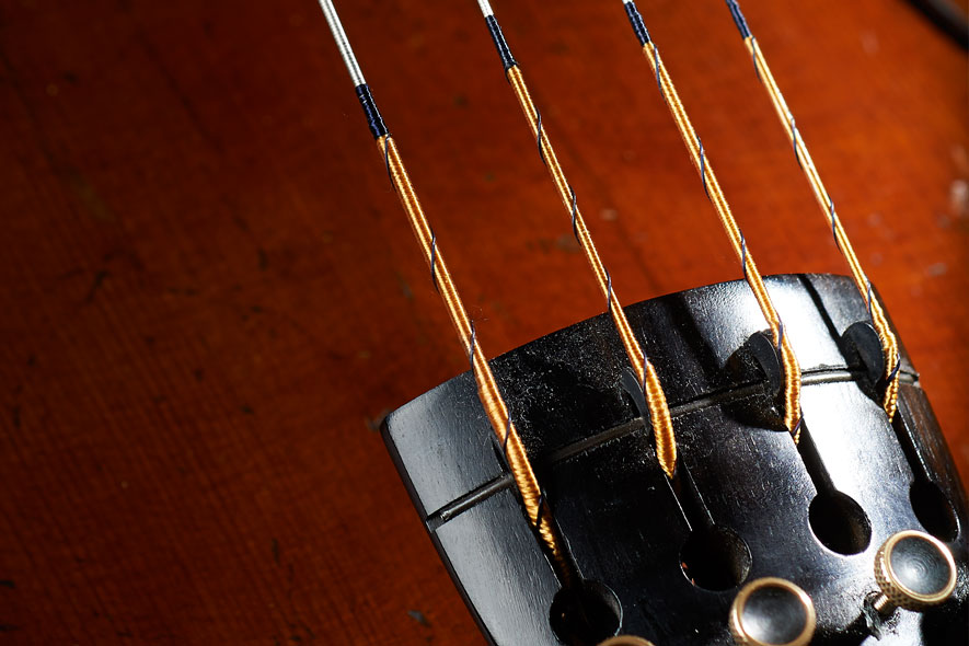Magnacore Cello from Larsen Strings