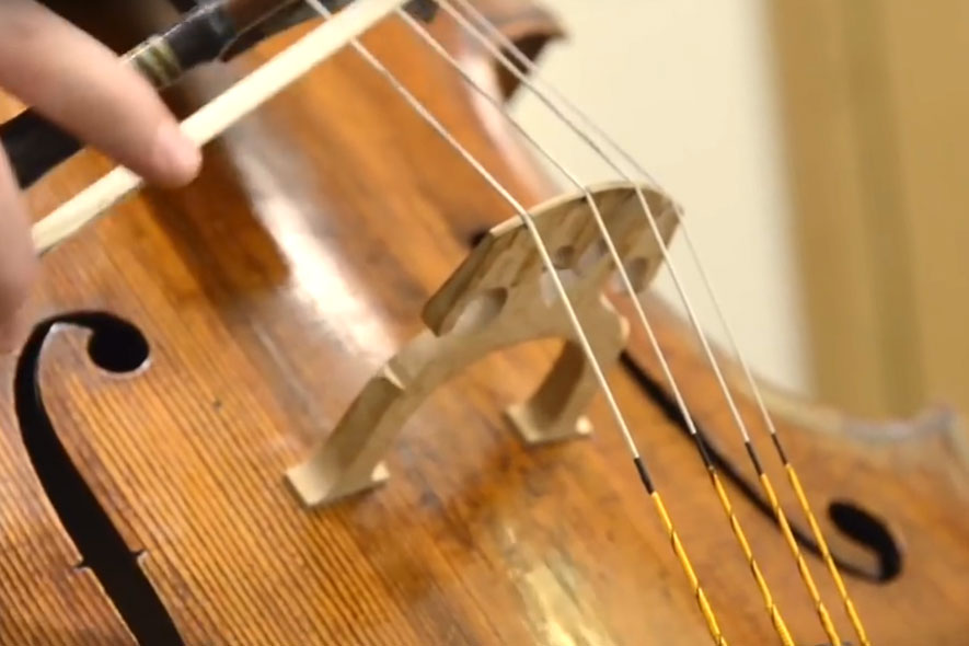 Larsen Magnacore Cello