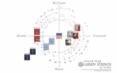 The Larsen Strings Universe