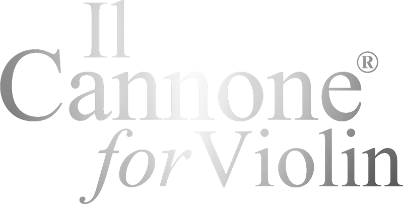 il-cannone-silver-png