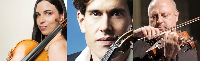 Larsen Strings Expertise for Viola