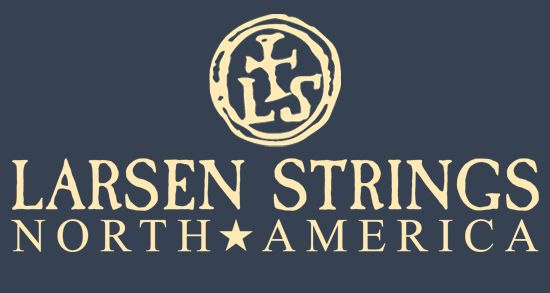 Larsen Strings