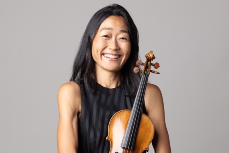 Violin Artist