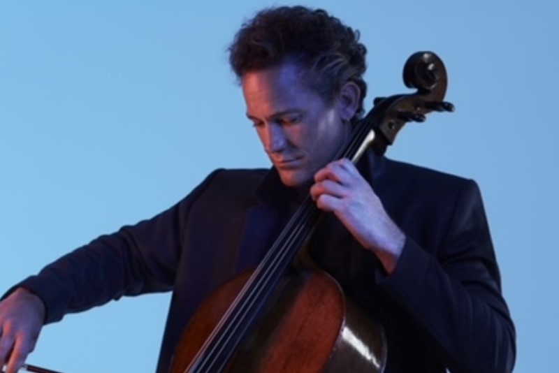 Violin Artist